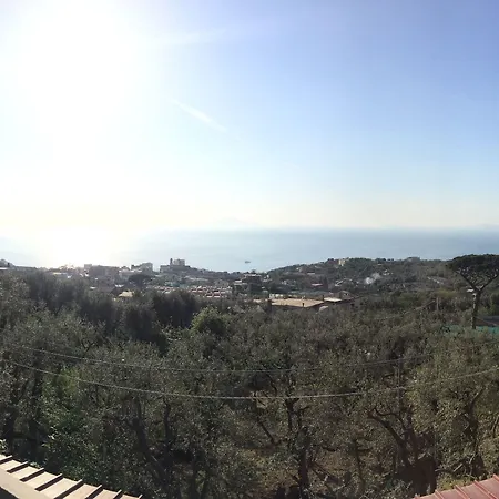 Complesso San Francesco Pensión 4*